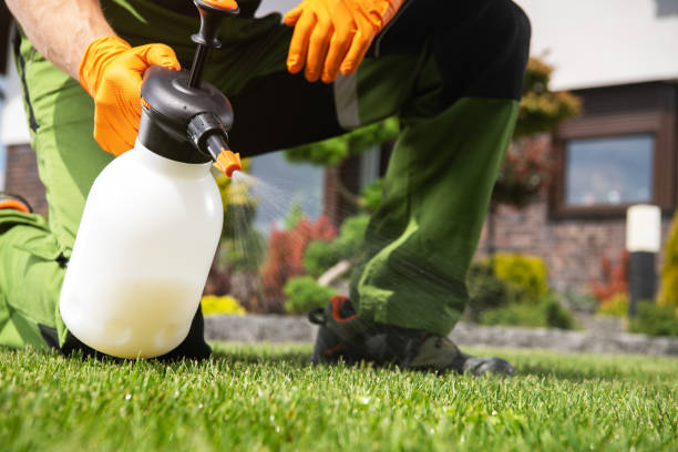 Best Pest Removal Services  in Mcalester, OK