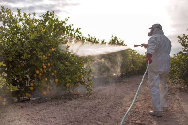  Mcalester, OK Pest Control Pros