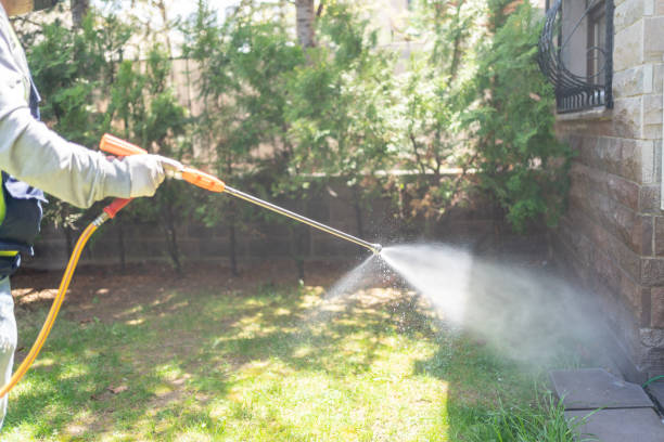 Best Pest Control Near Me  in Mcalester, OK