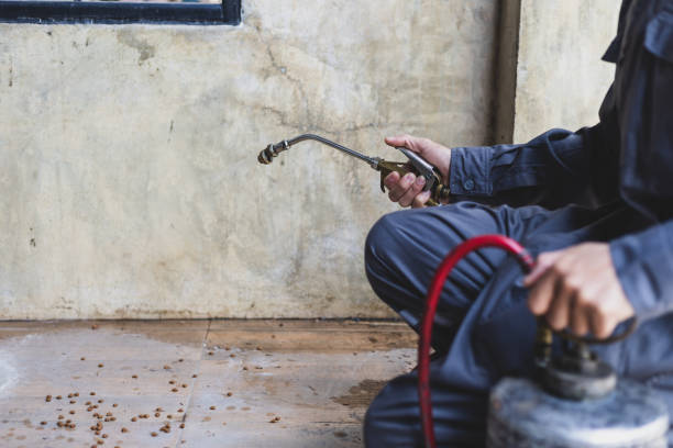 Best Best Pest Control Companies  in Mcalester, OK